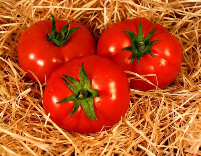 Tomates Ronde – Les Doux Jardins du Vivarais