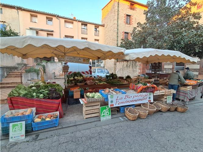 Mercredi : Stand "Le Chant de la Terre" - Argelès-sur-Mer