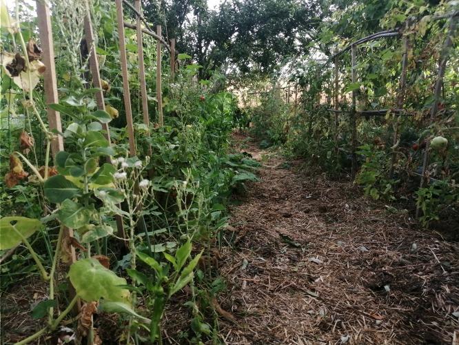 Les Jardins de Baugnac – producteur local