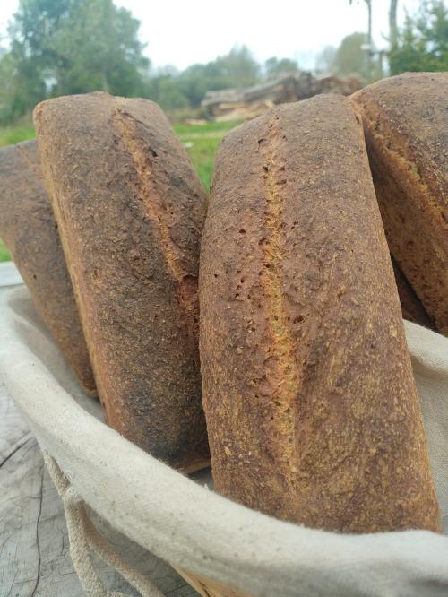 Complet – Fournil BARA SOLE