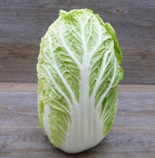 Chou chinois – Les Doux Jardins du Vivarais