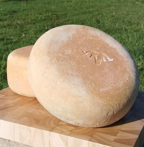 Fromagerie Balaka – producteur local