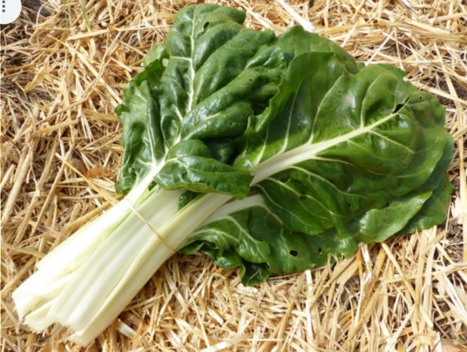 Blette – Les Doux Jardins du Vivarais