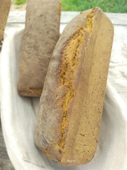 Engrains (Petit Épeautre) – Fournil BARA SOLE