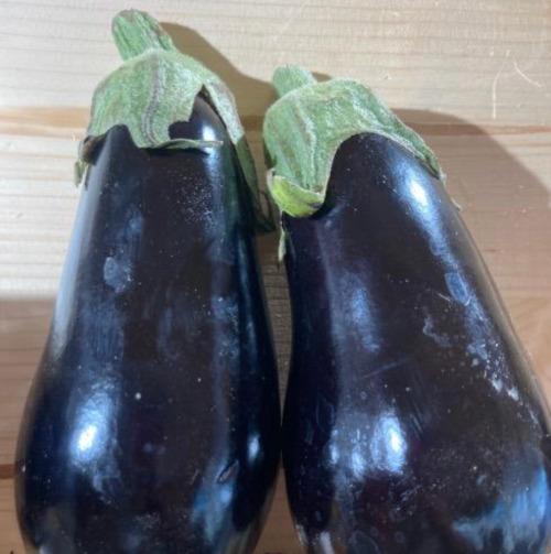 Aubergine  – Les Doux Jardins du Vivarais