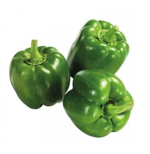 Poivron – Les Doux Jardins du Vivarais