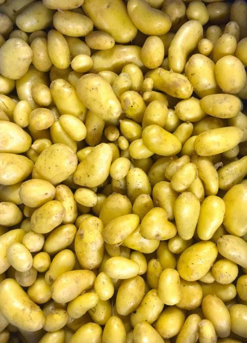 Pomme de terre Nouvelle – Les Doux Jardins du Vivarais