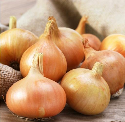 oignons jaune – Les Doux Jardins du Vivarais