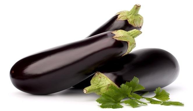 Plant aubergine – La Main Verte - Maraîchage Bio 