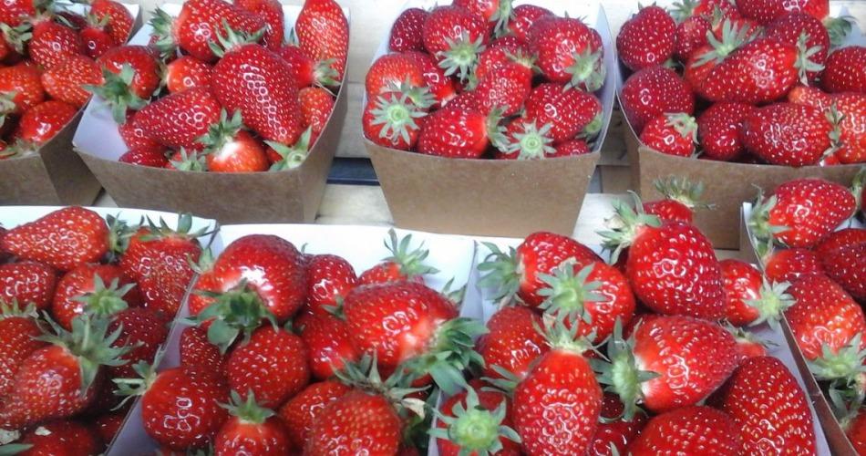 Les Jardins de Trelen