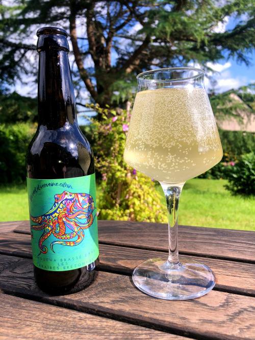 Kombucha Thé vert et Verveine Citron – Brasserie de la Pieuvre