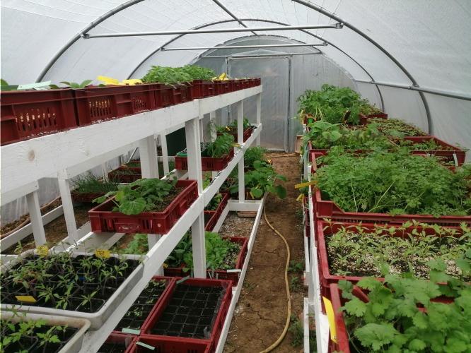Les Jardins de Baugnac – producteur local