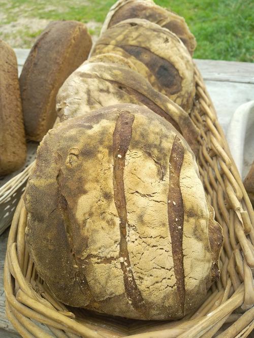 Noix – Fournil BARA SOLE