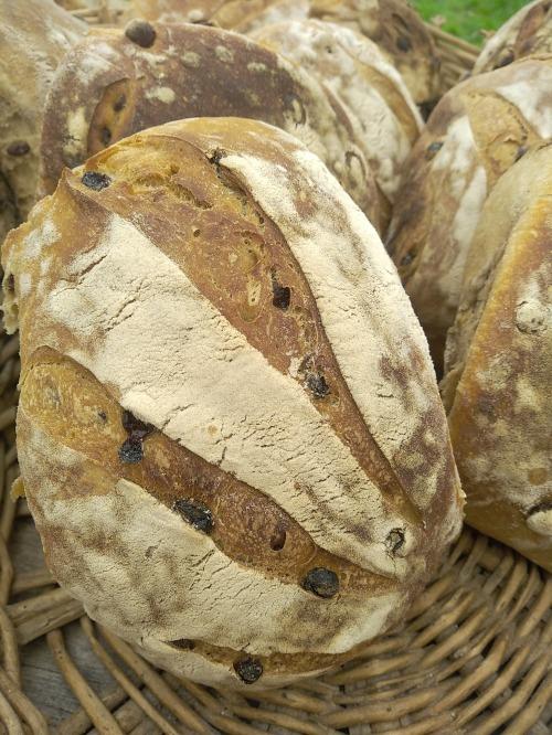 Raisin Noisettes – Fournil BARA SOLE