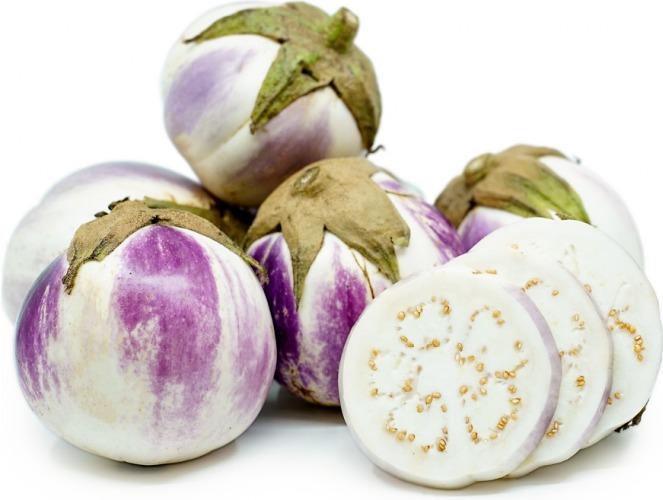 Plant aubergine – La Main Verte - Maraîchage Bio 