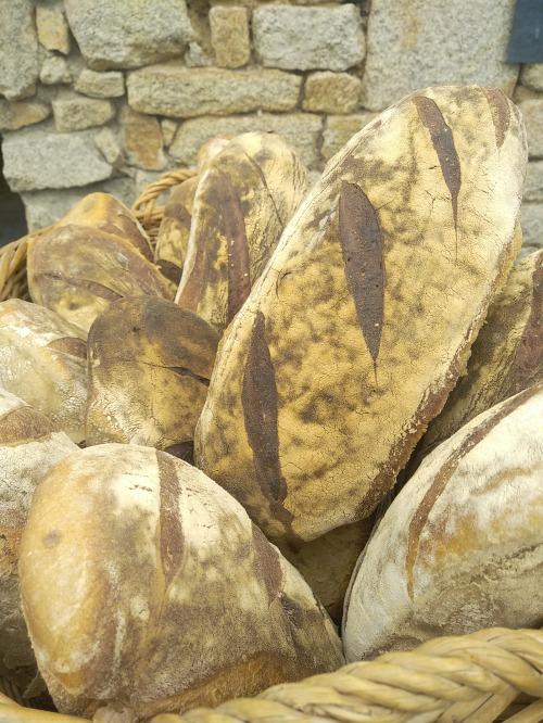 Nature – Fournil BARA SOLE